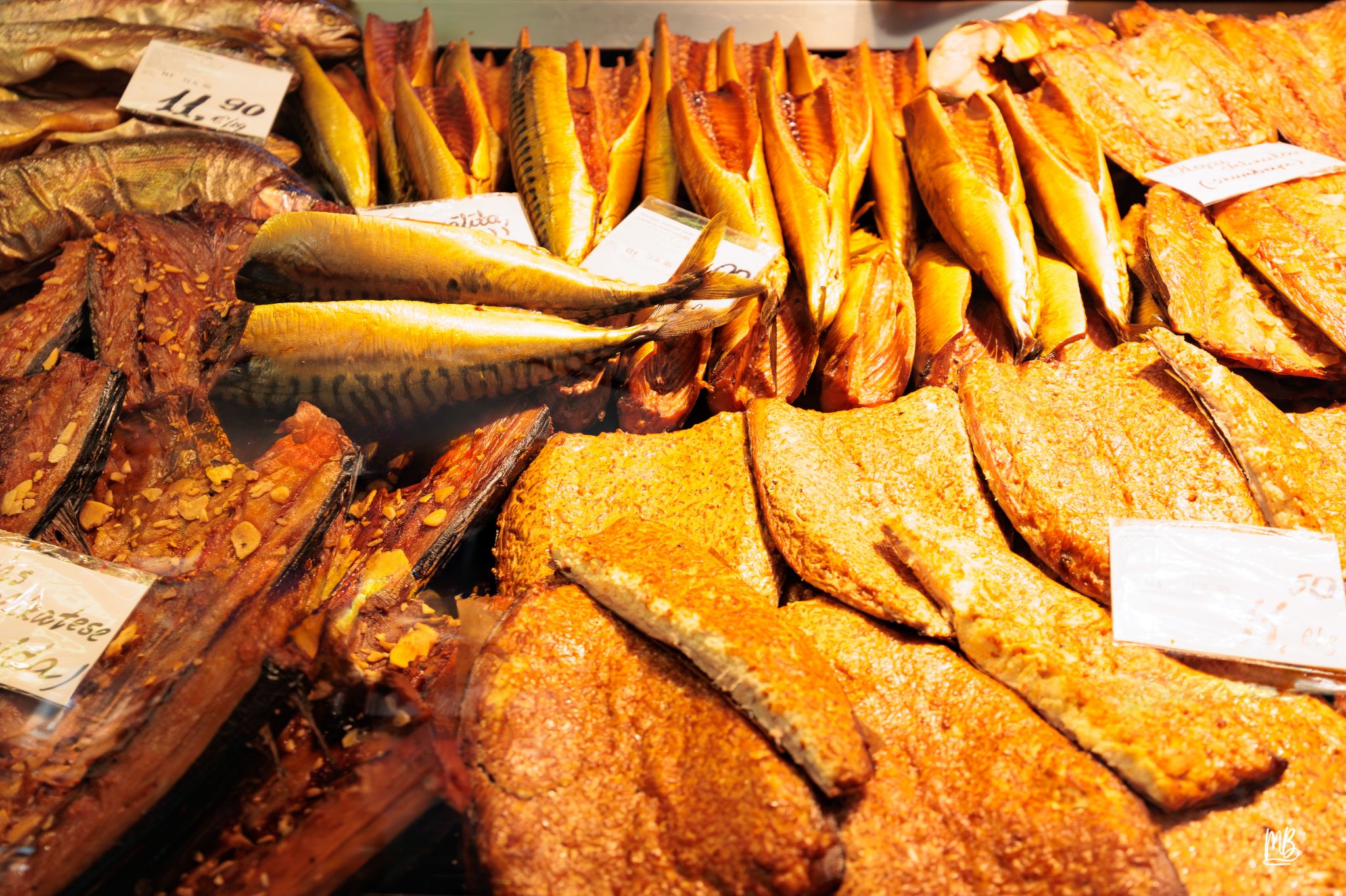 2024   Riga   MB 225